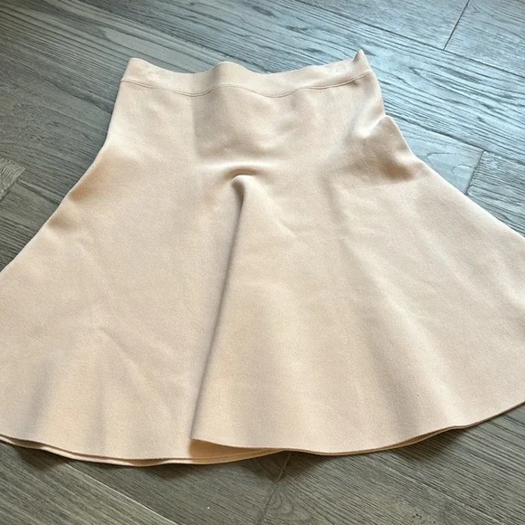 🔥BCBGMaxaria🔥 | Ingrid a-line high waisted skirt in bare pink - Picture 5 of 13